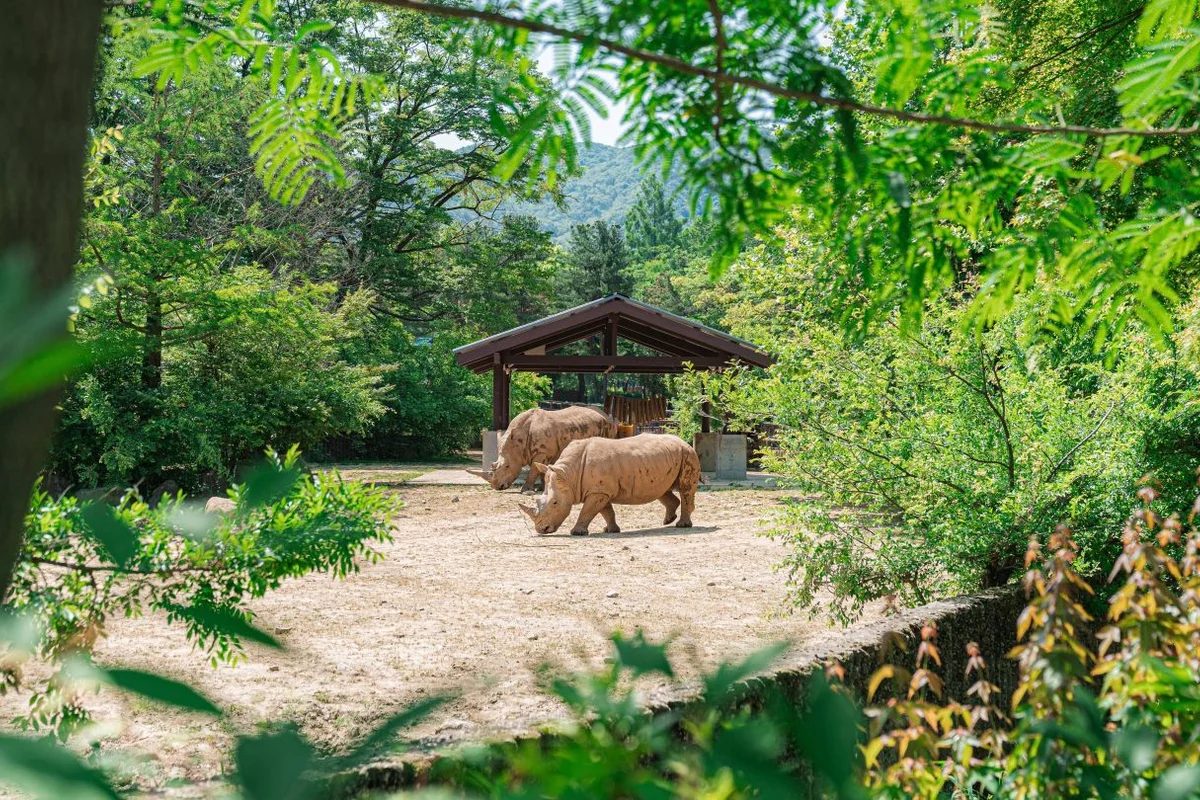 서울대공원 근처 카페 (출처 : 한국관광공사)
