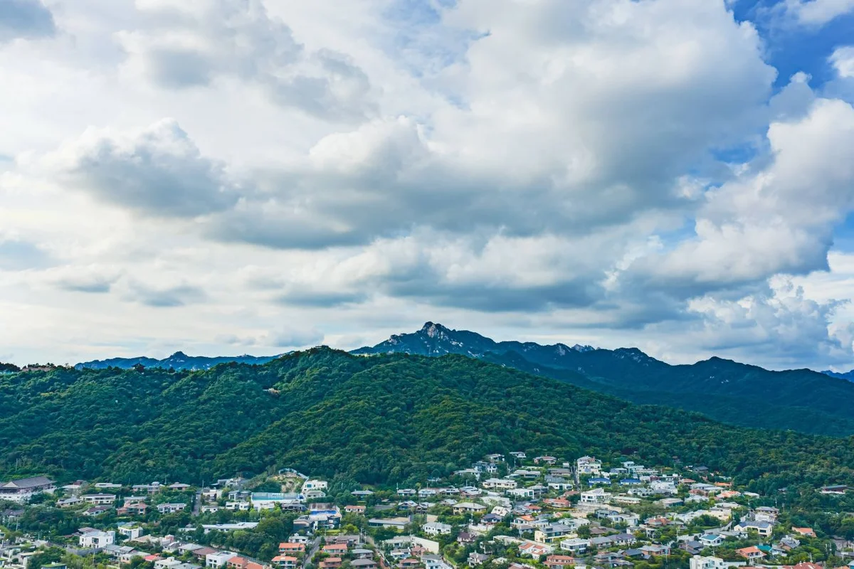 성북구 벚꽃 명소 (출처 : 한국관광공사)