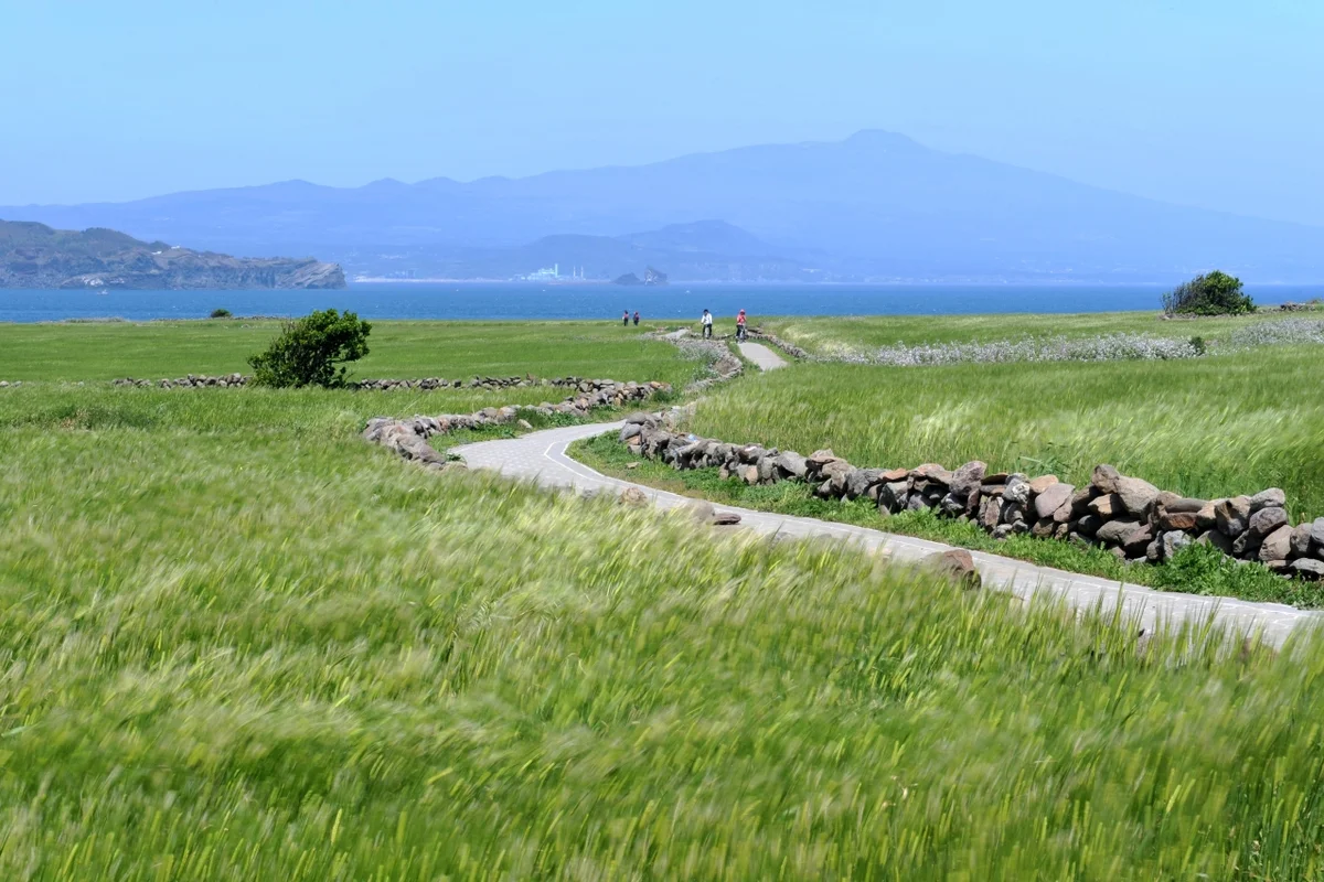 양천구 봄 여행 (출처 : 한국관광공사)