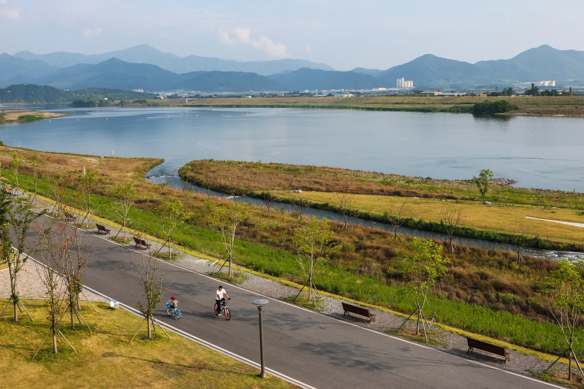 대구 매화축제 (출처 : 한국관광공사)