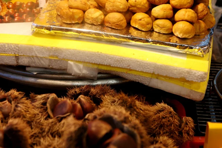 인사동 동물원 (출처 : 한국관광공사)