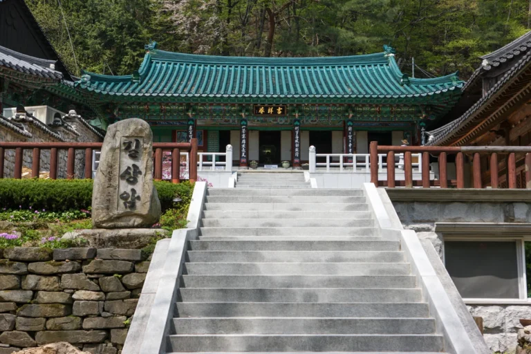 상암 수상 레저 (출처 : 한국관광공사)