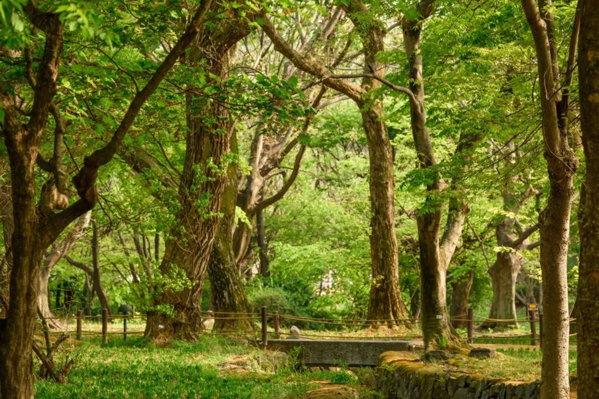 4월 대구 꽃놀이 명소 (출처 : 한국관광공사)