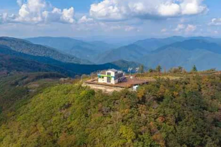 양천구 가을 가볼만한곳 (출처 : 한국관광공사)